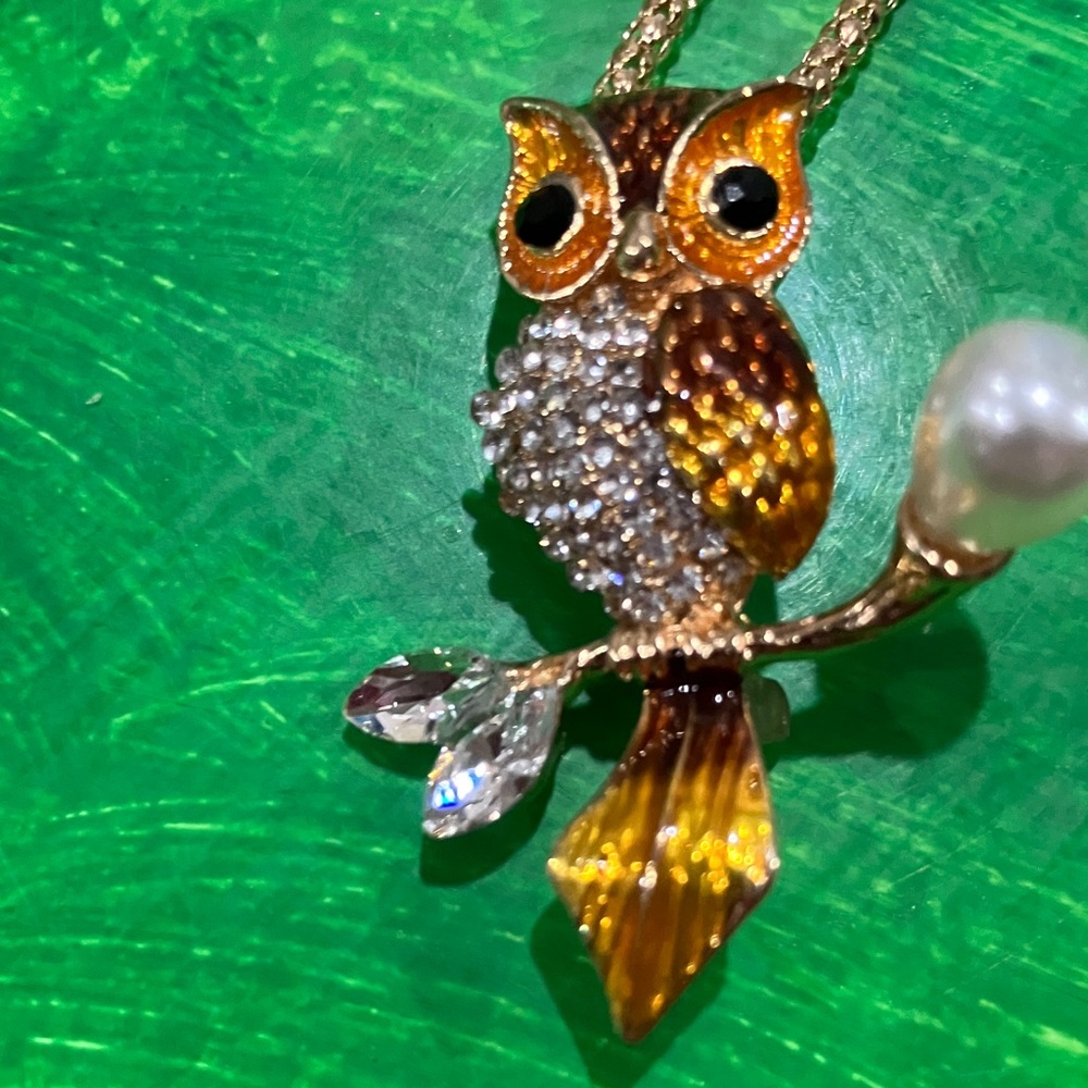 Betsey Johnson Gold and Brown Owl Pendant Necklace and pin